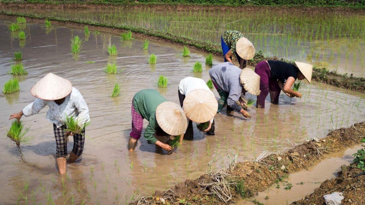 Nha Tan - Mai Chau Homestay And Tours 外观 照片