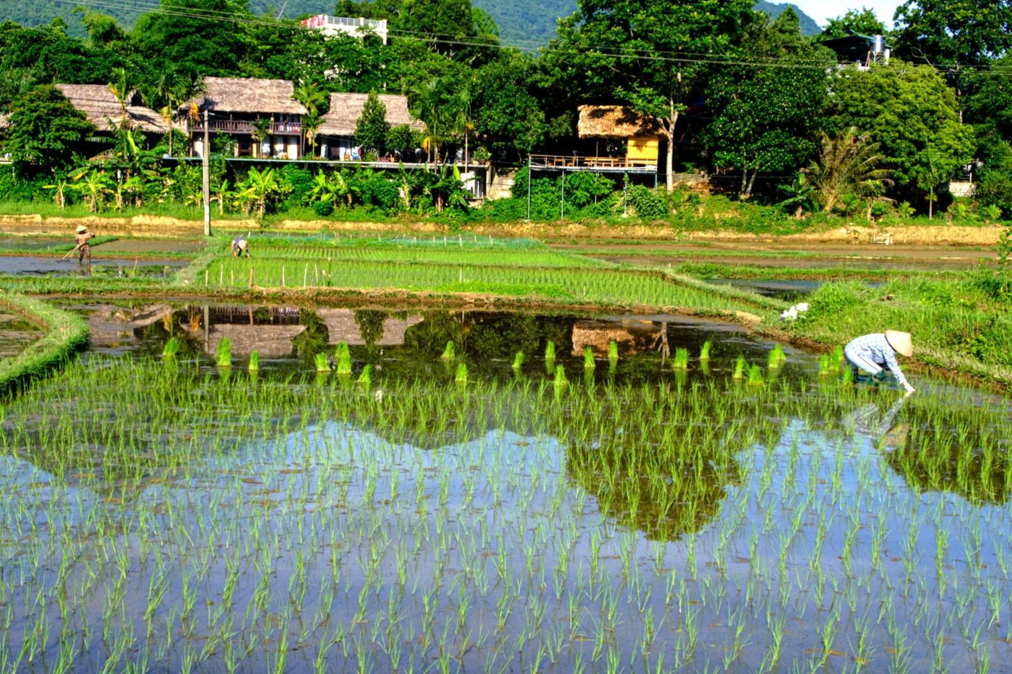 Nha Tan - Mai Chau Homestay And Tours 外观 照片