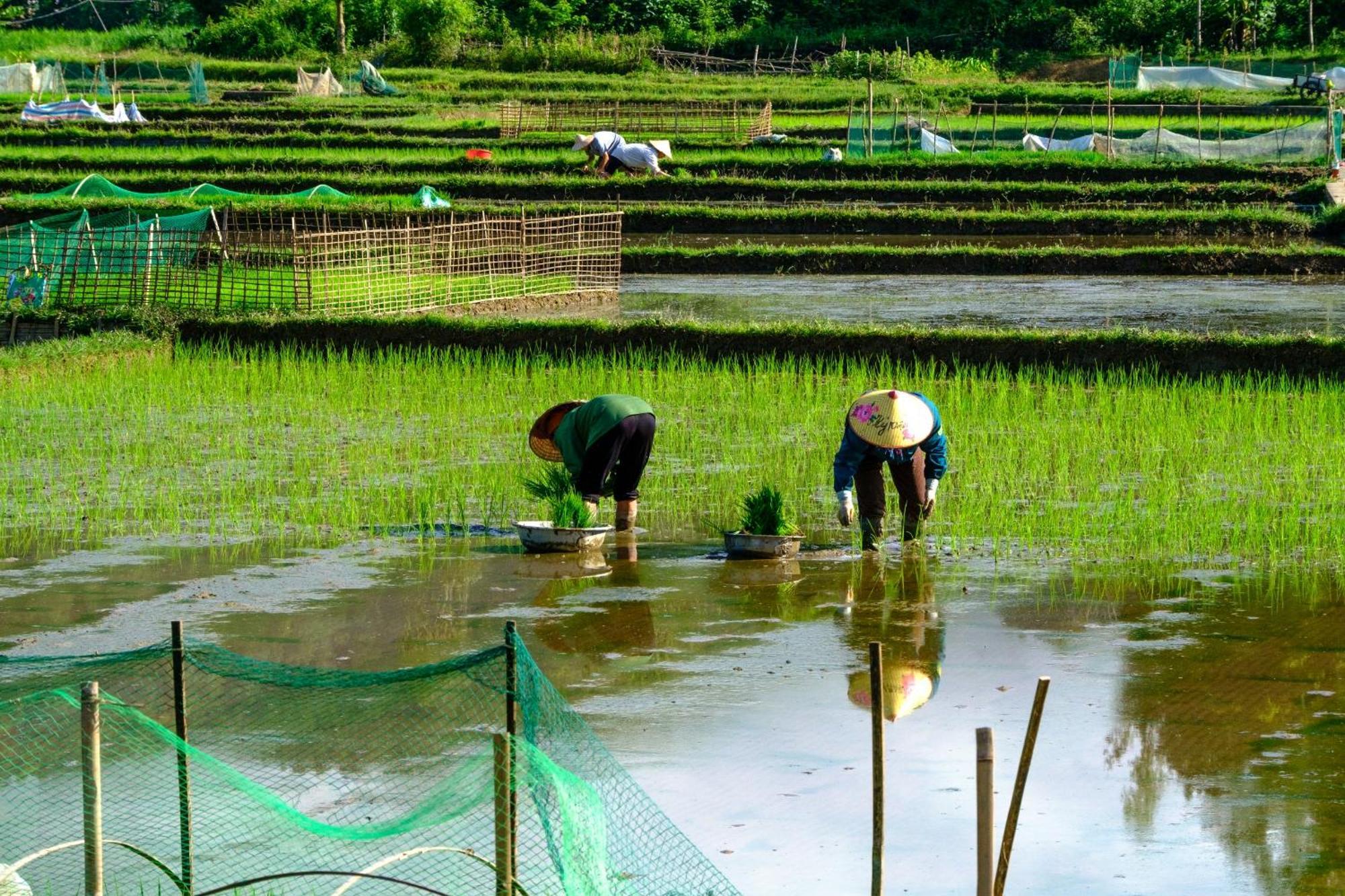 Nha Tan - Mai Chau Homestay And Tours 外观 照片