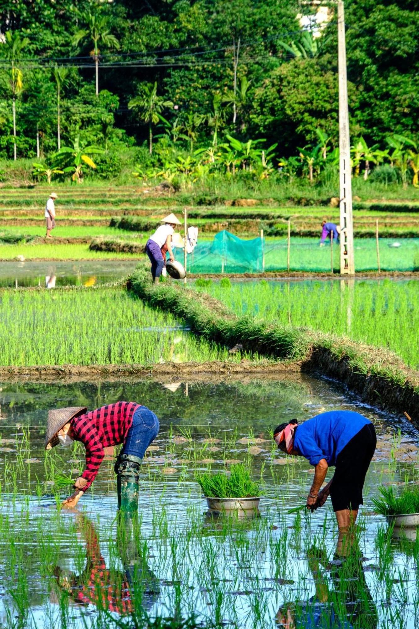 Nha Tan - Mai Chau Homestay And Tours 外观 照片